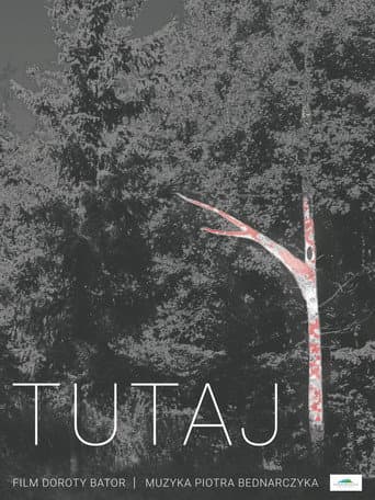 Tutaj